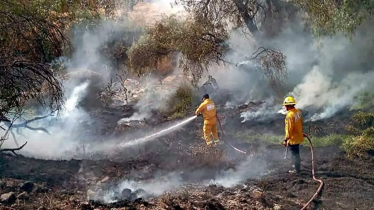 Proteccion civil municipal incendios forestales y de pasto seco ok